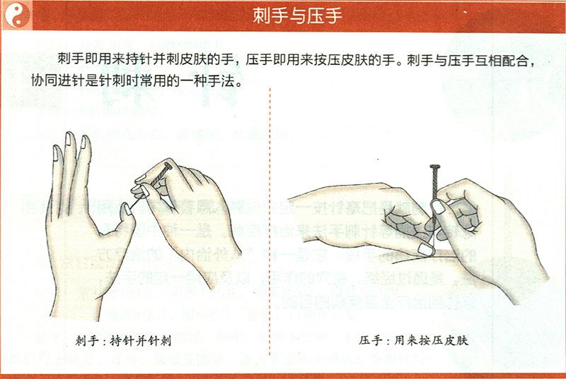 一般針法的運用原則是什么？